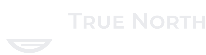 True North Insurance Partners